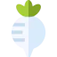 Radish icon 64x64