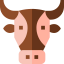 Cow icon 64x64
