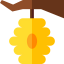 Honeycomb icon 64x64