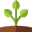 Sprout icon 64x64