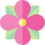 Flower アイコン 64x64