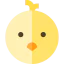 Chicken アイコン 64x64