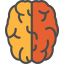 Brain icon 64x64