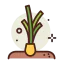 Spring onion 图标 64x64