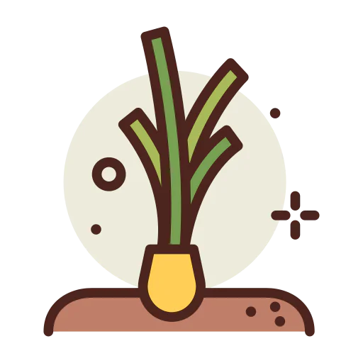 Spring onion 图标