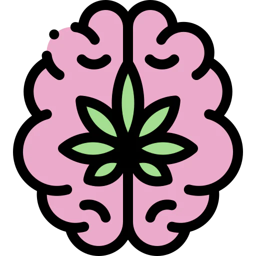 Brain icon