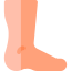 Foot icon 64x64