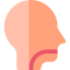 Throat icon 64x64