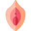 Vagina icon 64x64
