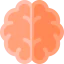 Human brain icon 64x64