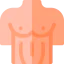 Chest icon 64x64