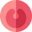 Tonsils icon 64x64