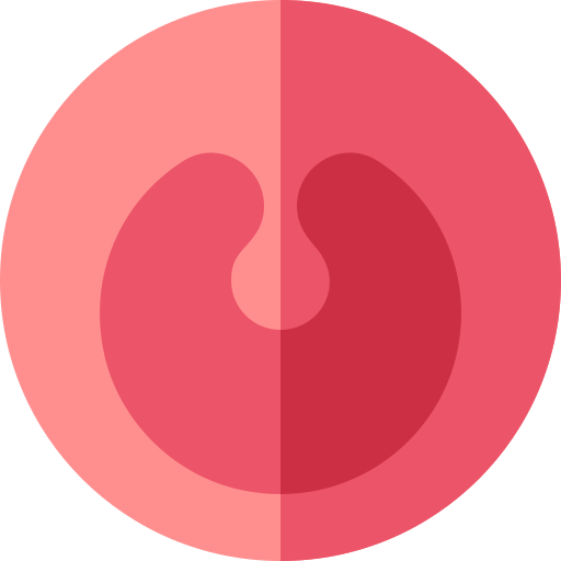 Tonsils 상