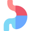 Stomach icon 64x64