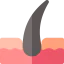 Hair icon 64x64