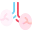 Testicles icon 64x64