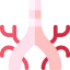 Bronchus icon 64x64