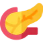 Pancreas icon 64x64