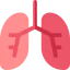 Lungs icon 64x64