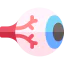 Eye balls icon 64x64