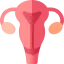 Uterus icon 64x64