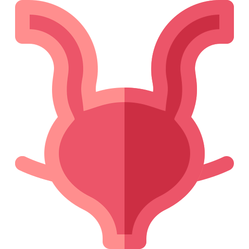 Bladder 图标