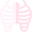 Ribs icon 64x64