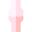 Bone icon 64x64