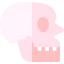 Skull icon 64x64