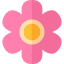 Flower icon 64x64