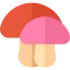 Mushroom icon 64x64
