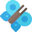 Butterfly icon 64x64