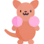 Kangaroo biểu tượng 64x64