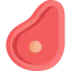 Steak icon 64x64