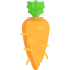 Carrot icon 64x64