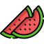 Watermelon icon 64x64