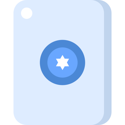 Mirror icon