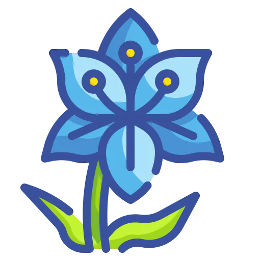 Lily 상