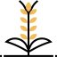 Barley icon 64x64