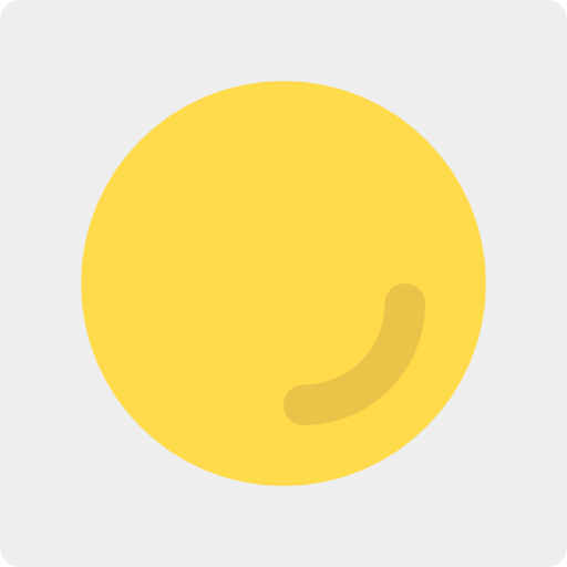 Record icon