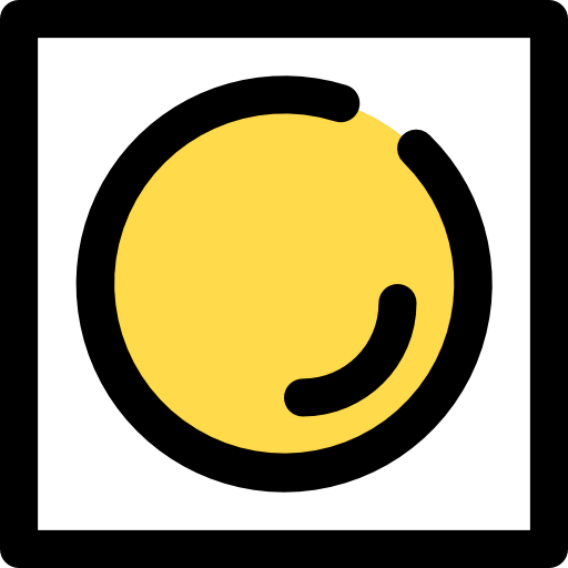 Record icon