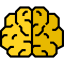 Brain icon 64x64