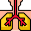 Lungs icon 64x64