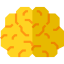 Brain 图标 64x64