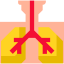 Lungs 图标 64x64