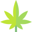 Cannabis icon 64x64