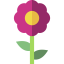 Flower icon 64x64