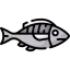 Fish icon 64x64