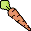 Carrot icon 64x64