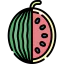 Watermelon icon 64x64